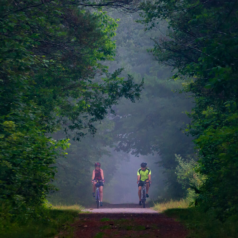 Bike Riders in the Fog